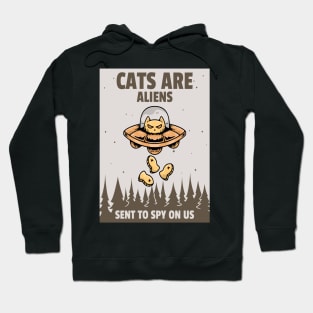 Cats Are Aliens Sent To Spy Us Hoodie